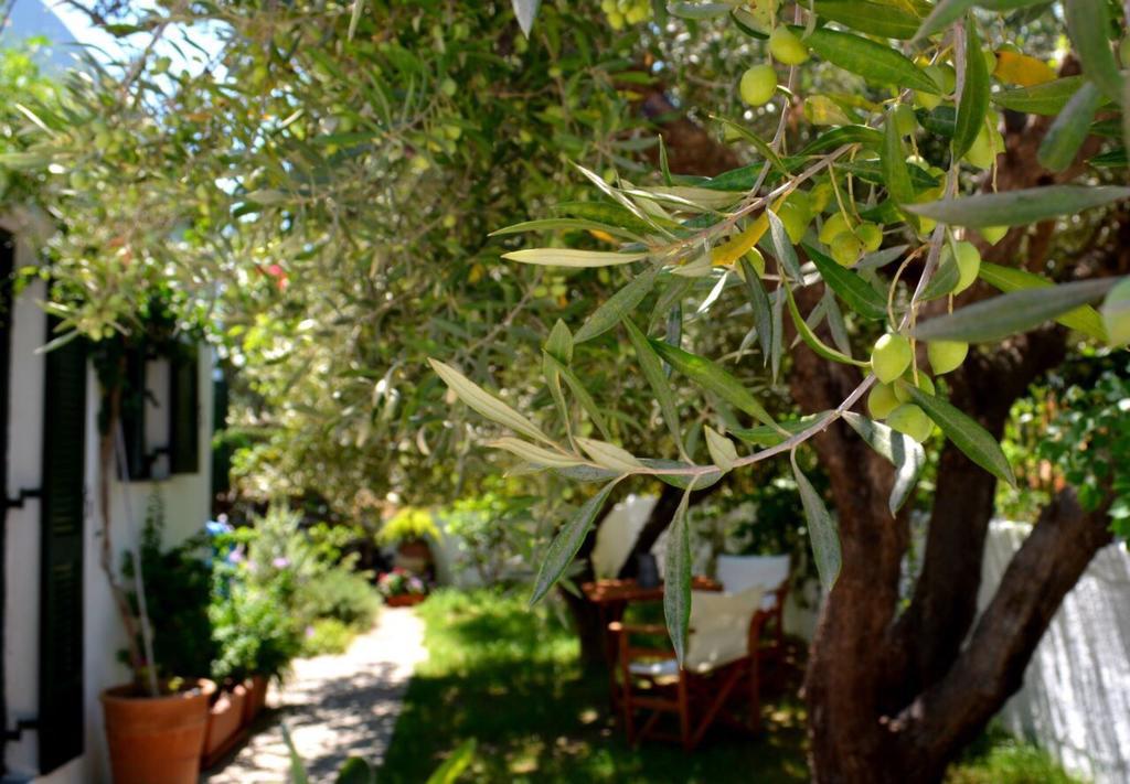 Villa Regina Kalo Chorio  Exterior foto