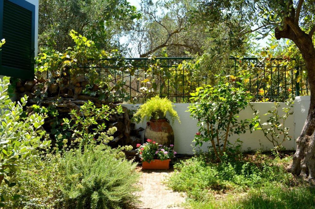Villa Regina Kalo Chorio  Exterior foto